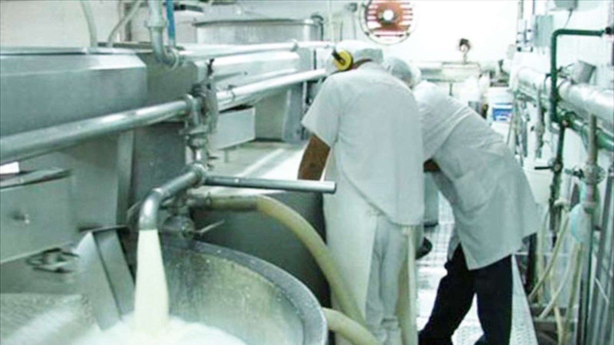 Al menos seis tipos de leche pasarán a gravar el 15 % de IVA.