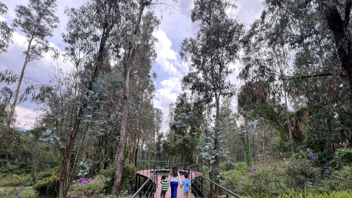 La Reserva Bosque de Cumbayá es parte de un sistema de espacios verdes en el séctor de San Patricio