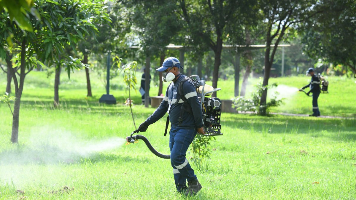 Brigadas municipales han intensificado la fumigación en zonas vulnerables. Pese a ellos la ciudadanía asegura que los vectores afectan a barrios enteros. Necesitan más acciones, alegan.
