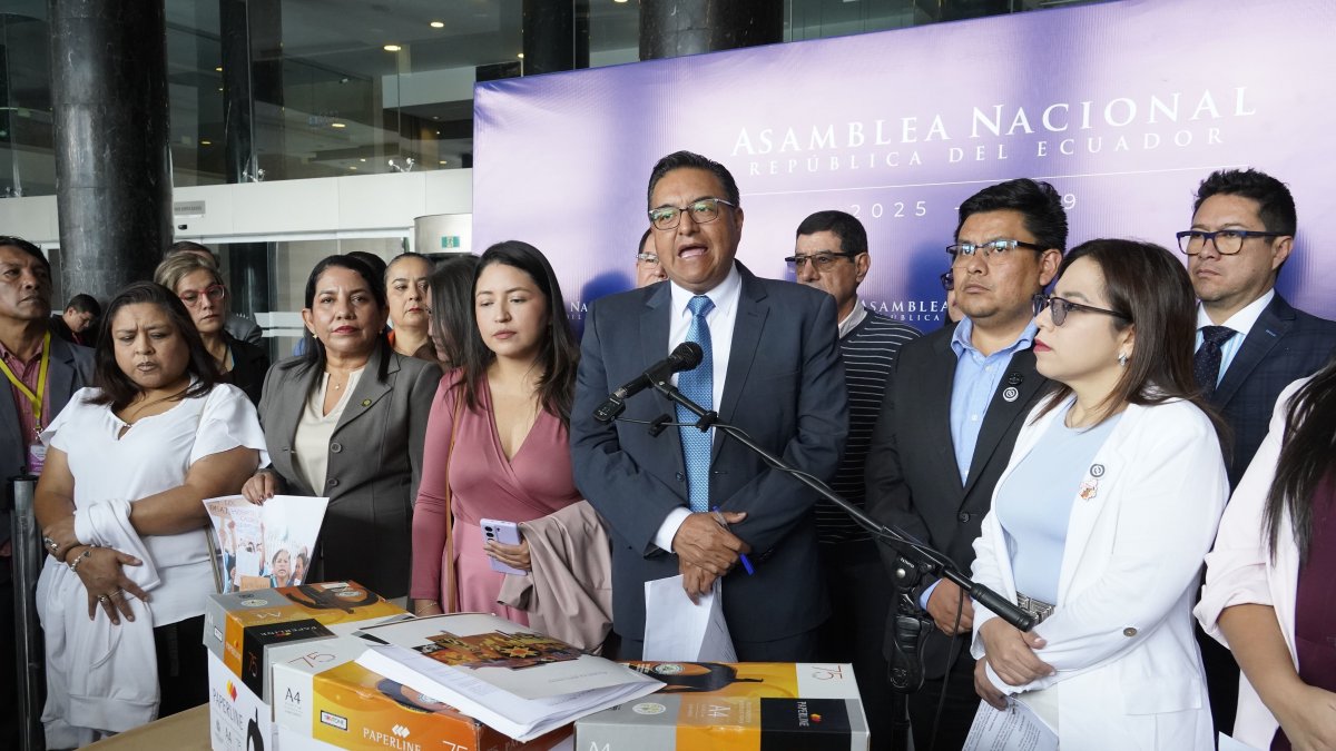 Asambleístas de la Revolución Ciudadana serán candidatos en las seccionales.