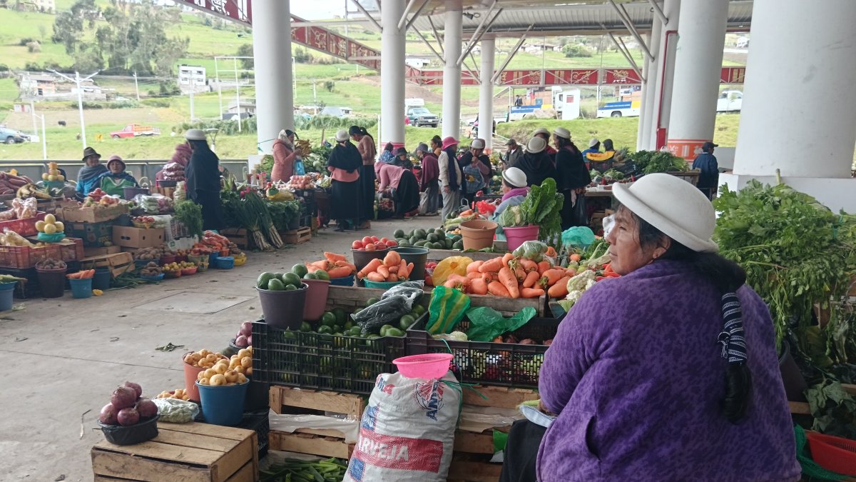 EL MERCADO ES ATENDIDO DIRECTAMENTE DE LOS PRODUCTORES DE JUAN BENIGNO VELA.
AG-EXTERNO