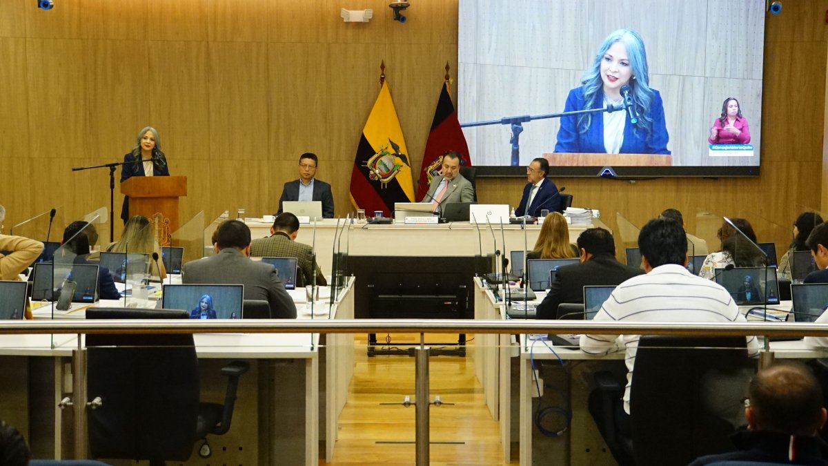 Fernanda Racines y Emilio Uzcátegui entregan 'amicus curiae' para proteger servicios sociales y culturales en Quito