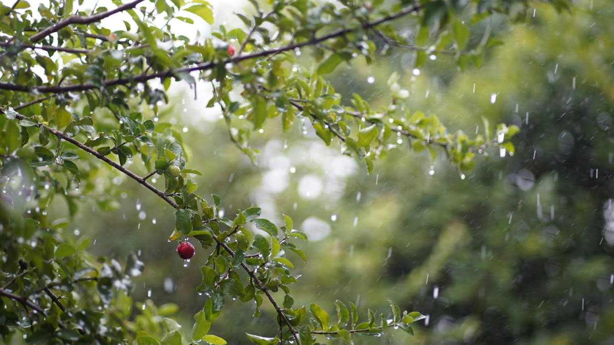 Referencial. Un día marcado por radiación extrema y lluvias aisladas en varias regiones del país