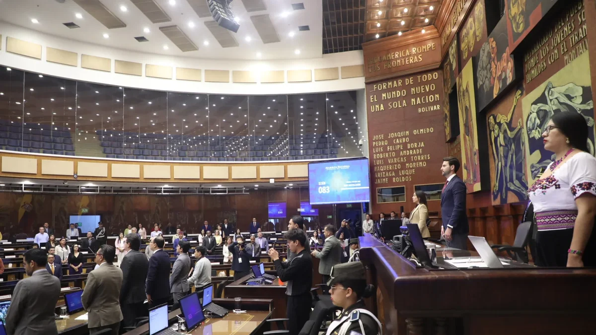 El Pleno de la Asamblea Nacional debatió la ley de educación financiera.