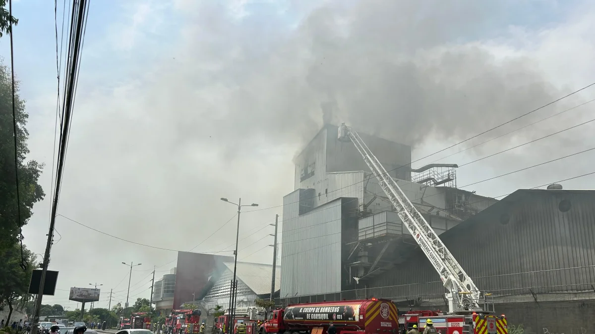Una vía quedó inhabilitada para que los bomberos puedan apagar el fuego.