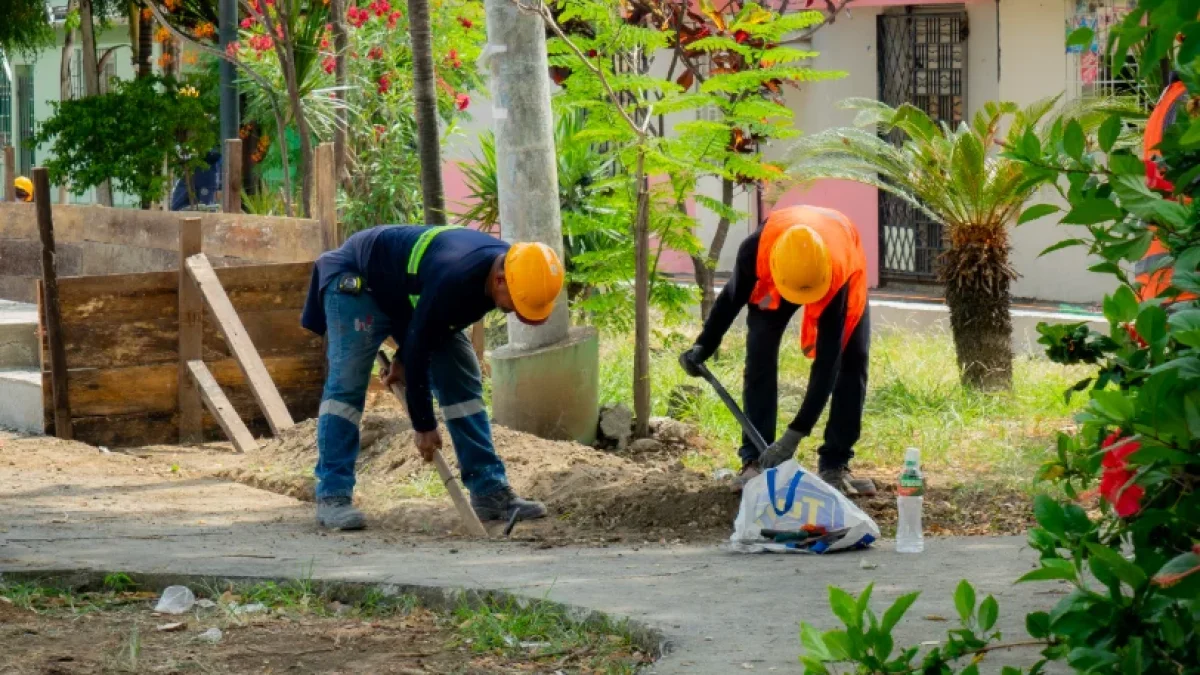 Las autoridades realizan mantenimiento en los parques del sur.