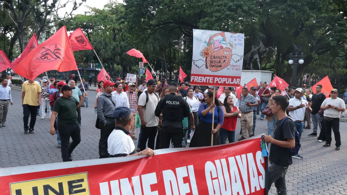 Un grupo de ciudadanos marcharon por la avenida 9 de Octubre reclamando por el IVA a alimentos que antes no pagaban el impuesto.