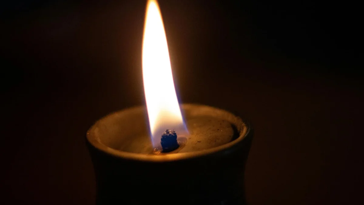 Mientras la actual Constitución y el excesivo control estatal no permitan la inversión privada en la generación de energía, seguirán los apagones.