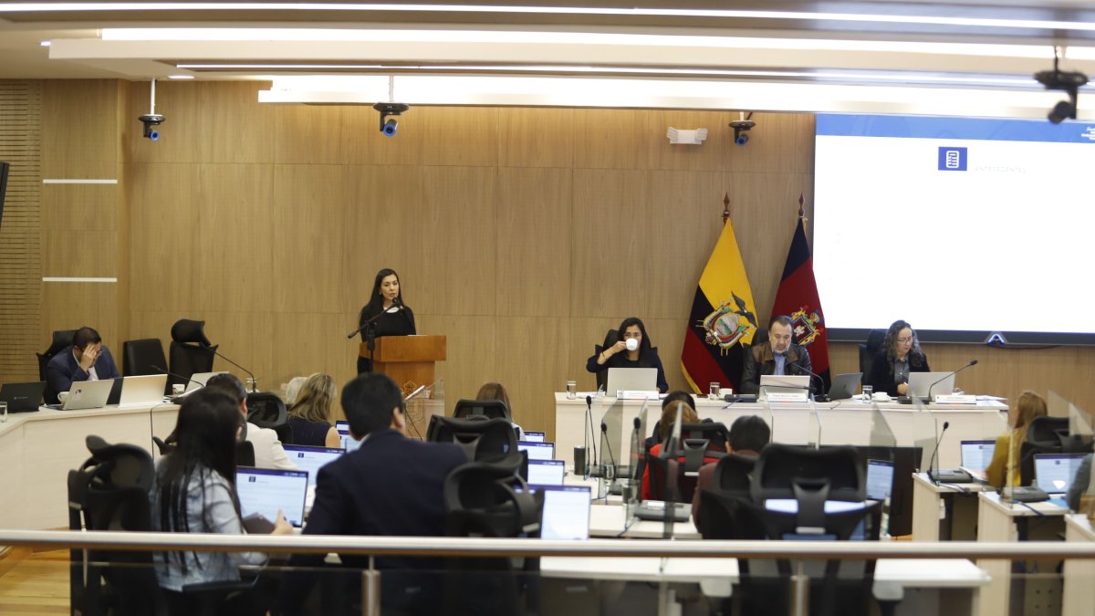 Desde 2014, el Distrito Metropolitano de Quito cuenta con 21 ediles, más el alcalde.