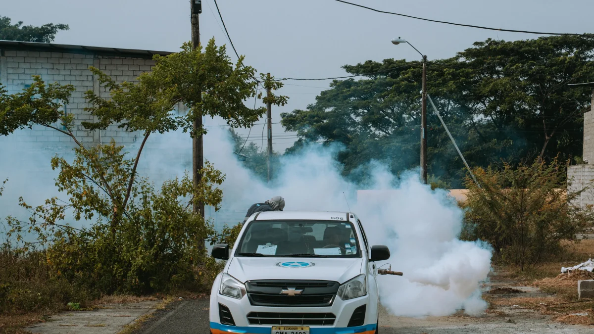 Las autoridades han realizado jornadas de fumigación.