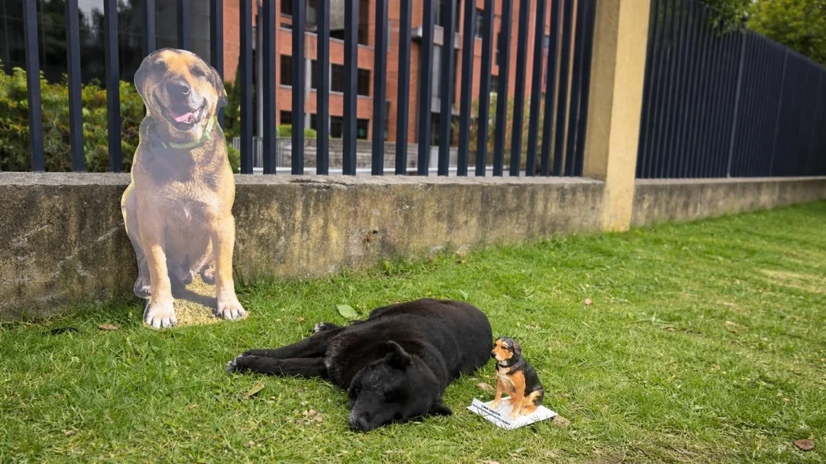 Max vivió durante 15 años en las instalaciones de la Escuela Politécnica Nacional.