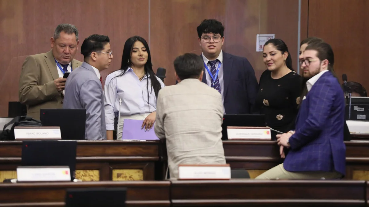 Los legisladores del oficialismo aprobaron, en 2025, un informe de fiscalización sobre Progen que no señala responsabilidades políticas de la fallida contratación.