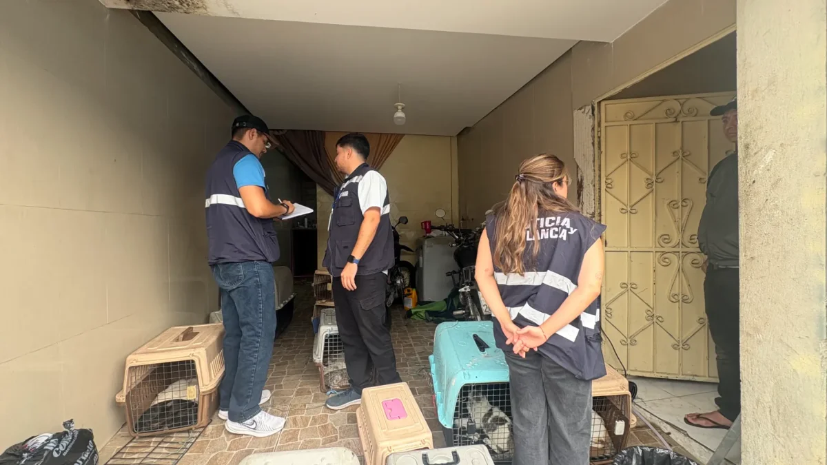 El Municipio informó de la clausura en una vivienda.