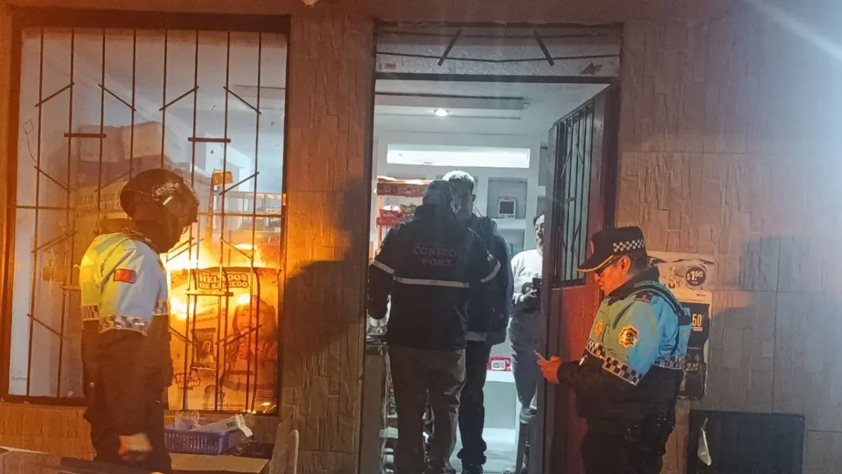 Operativo en Quito deja clausuras y hallazgos de plagas, insalubridad y comercio ilegal en varios establecimientos intervenidos.