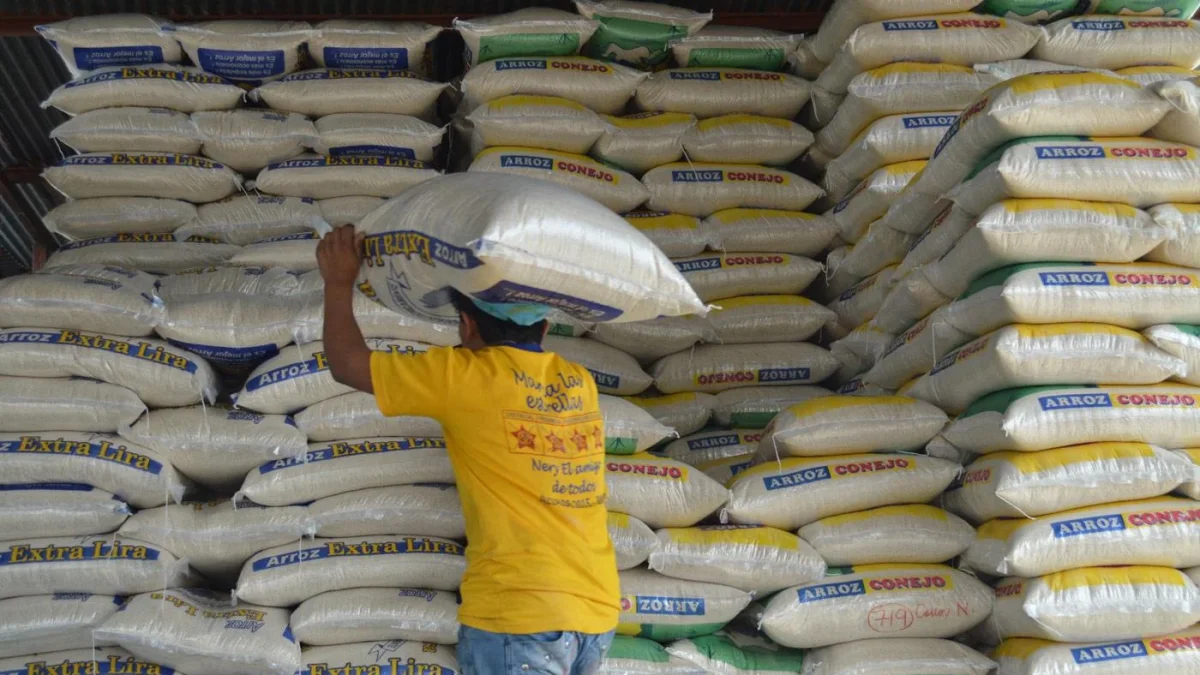 Una persona apila sacos de arroz en una bodega.