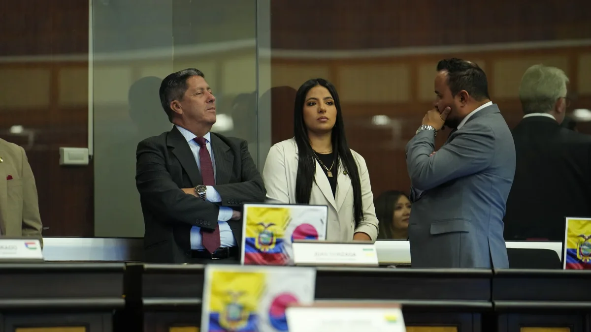 Legisladores del oficialismo colocaron banderas de Ecuador y Corea a propósito de la aprobación dle acuerdo comercial en el Pleno.