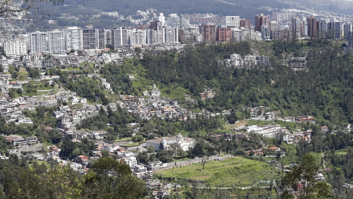 Guápulo y Bolaños fueron afectados por incendios forestales, actualmente la vegetación muestra claros signos de regeneración.