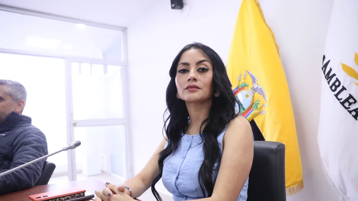 Viviana Veloz cuestiona la falta de comparecencia de la ministra tras apagones en Ecuador.