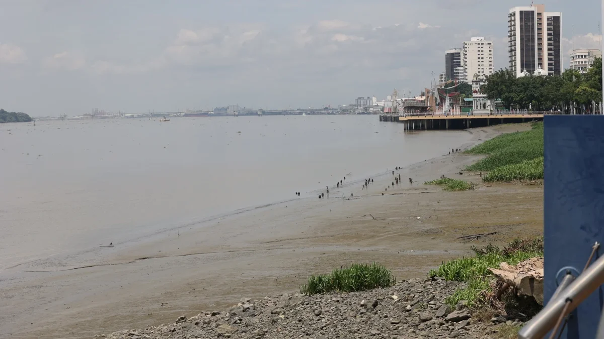 La mancomunidad articula decisiones sobre agua, suelo y desarrollo entre provincias conectadas a la cuenca del Guayas.