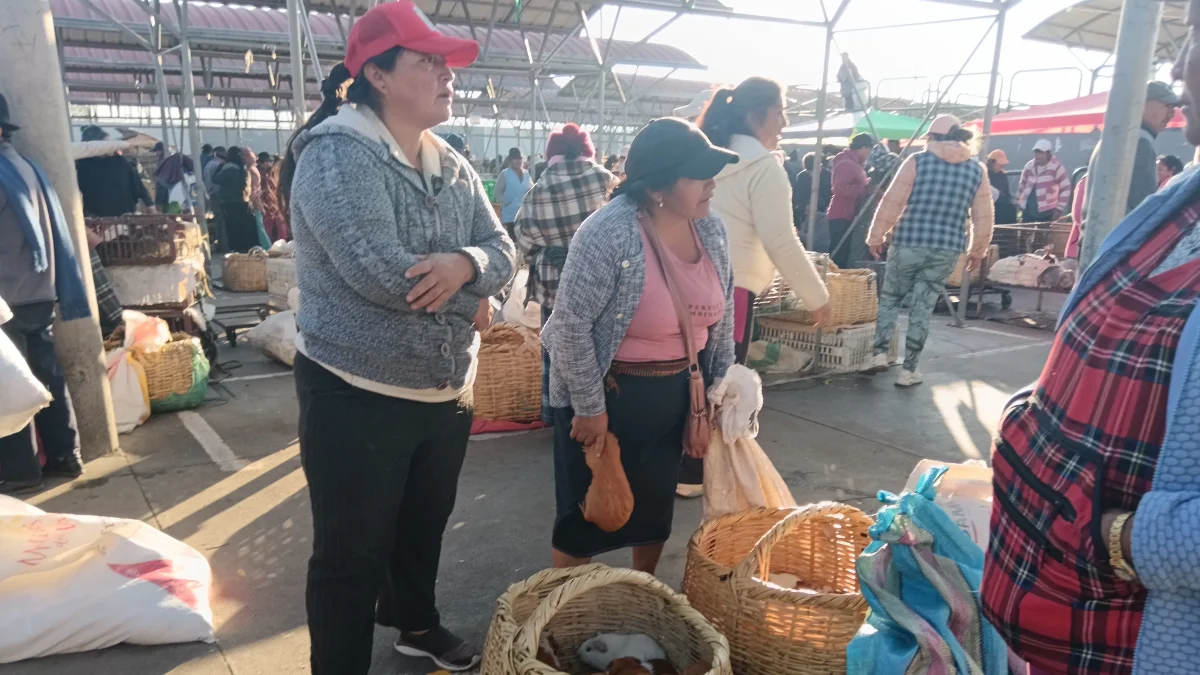 La feria de lunes y viernes de animales menores, mueve la venta de unos 10 mil cuyes y conejos en Ambato