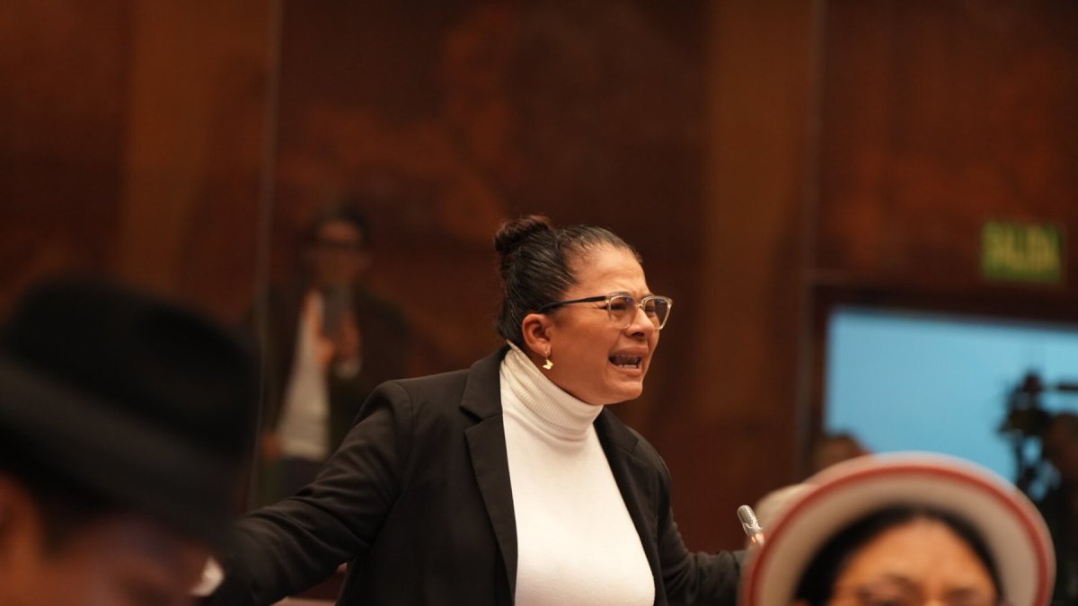 La legisladora del correísmo Sandra Figueroa durante la intervención en el Pleno de la Asamblea Nacional Ecuador.