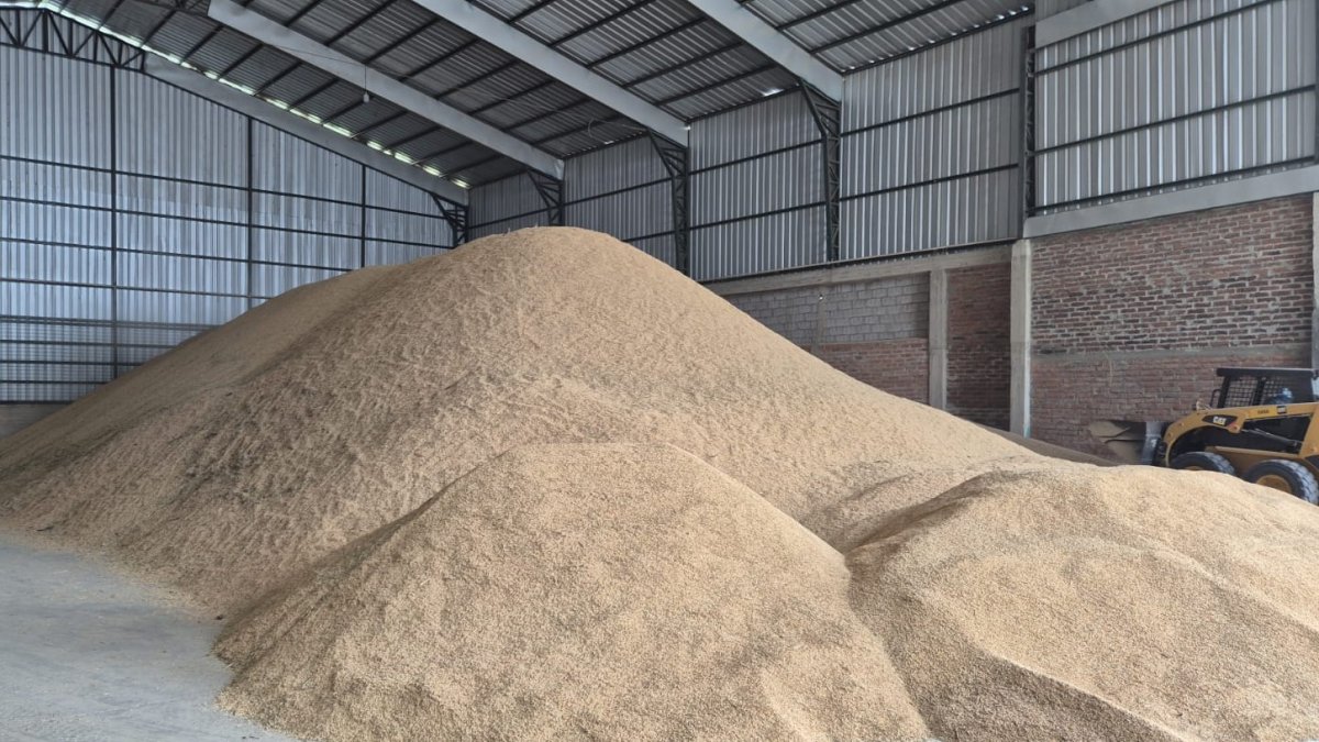 Guayas. El inicio de la cosecha coincide con inventarios rezagados en piladoras.