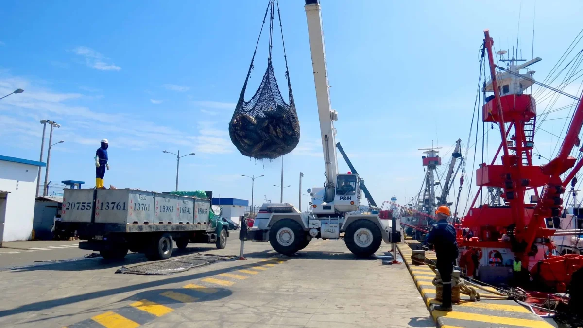 Actividades de pesca en el puerto de Manta.