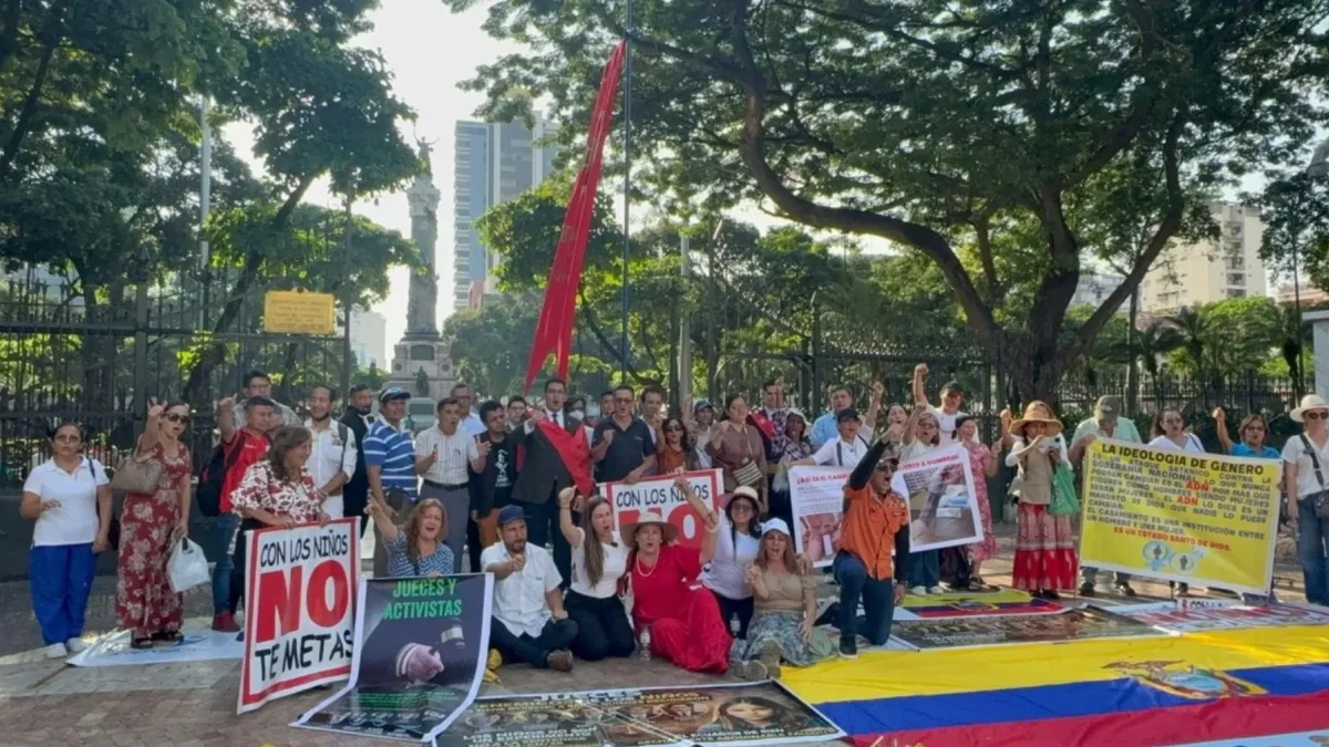 Familias, profesionales y colectivos sociales participarán en una movilización pacífica desde el Parque Centenario hasta la Gobernación del Guayas.