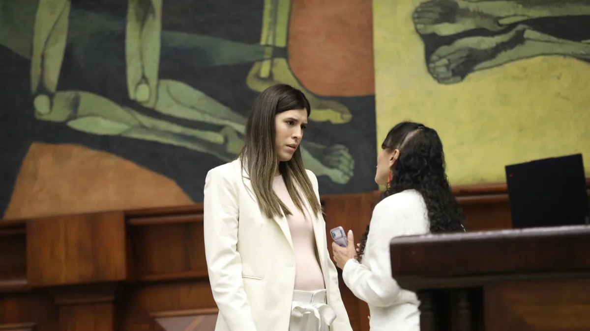 La legisladora de ADN Valentina Centeno cuestionó la autoría de una reforma al COIP.