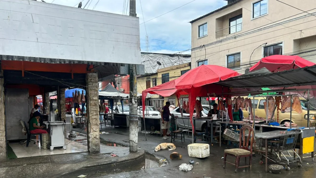El crimen de cinco personas se cometió en la zona del camal, en el sur de Guayaquil.