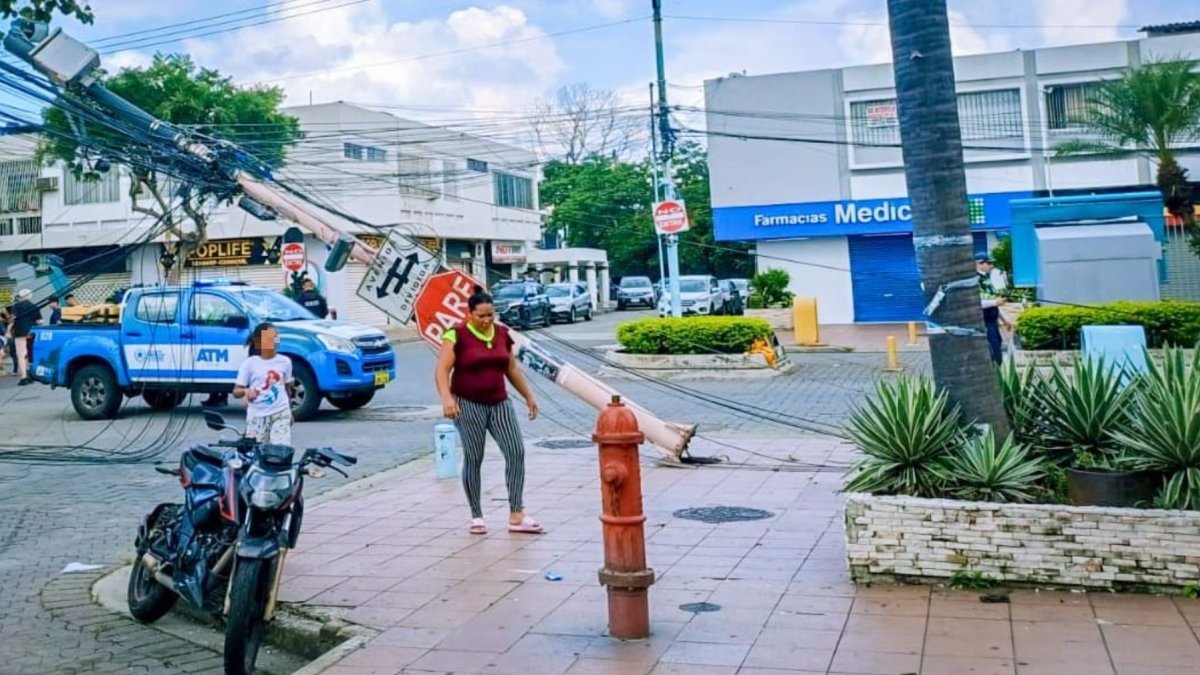 El árbol se cayó y arrastró los cables que estaban conectados a un poste, que se desprendió de su base.