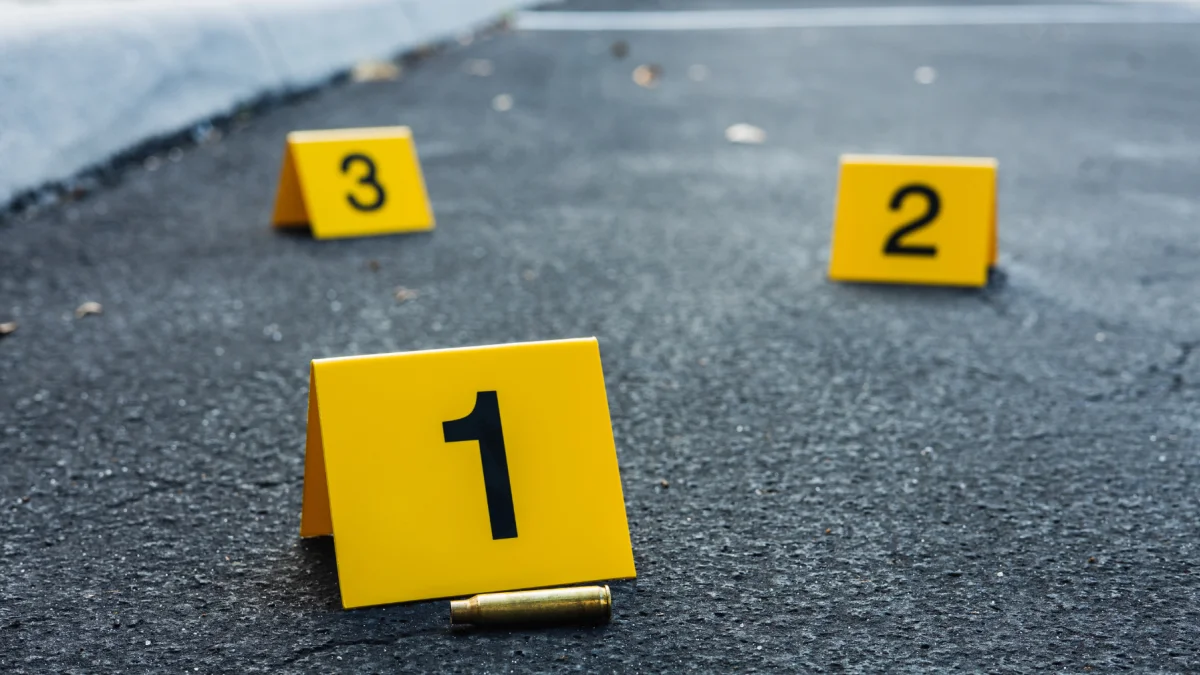 La ciudadanía necesita un plan de seguridad eficaz que garantice tranquilidad sostenida y que devuelva la confianza en la vida diaria.