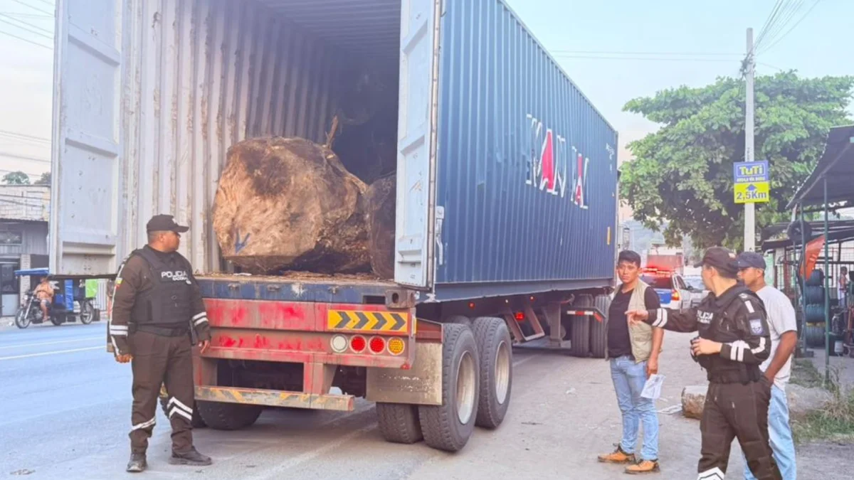 Los troncos eran transportados en un camión.