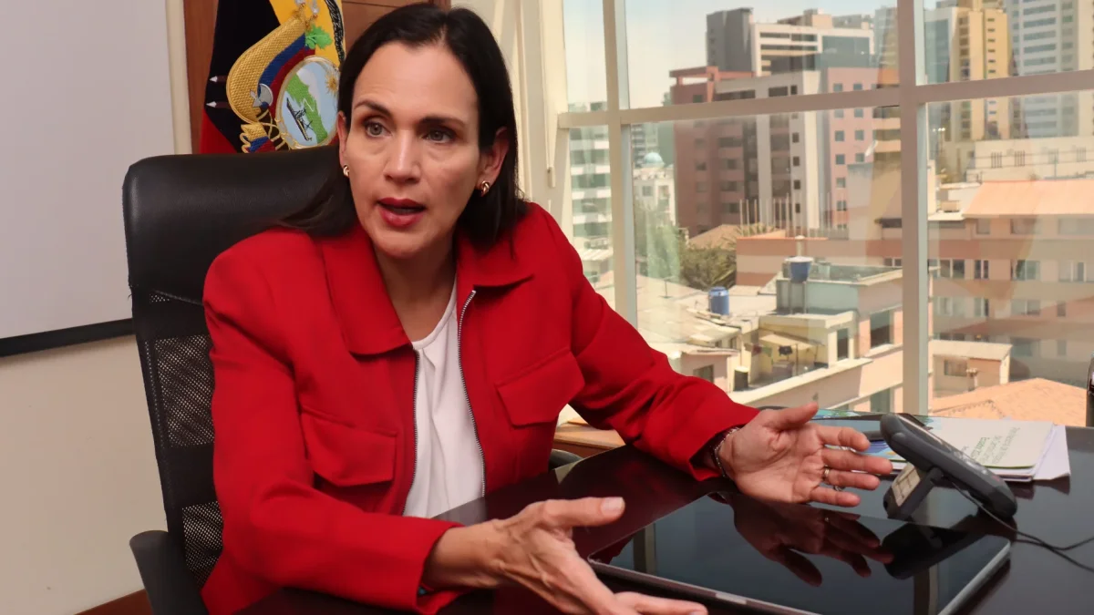 Manzano asumió el encargo del Ministerio de Energía y Minas en octubre de 2024.