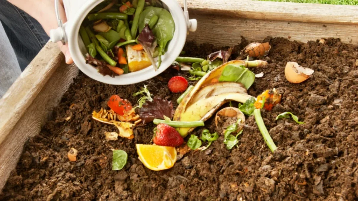El objetivo es transformar los residuos orgánicos en abono natural.