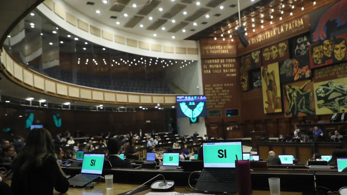 El Pleno de la Asamblea Nacional de Ecuador aprobó la Ley sobre Atención Psicosocial para niños y adolescentes.