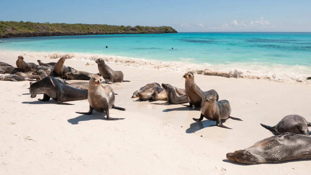 Islas Galápagos, uno de los ecosistemas más biodiversos del planeta, bajo protección de Ecuador..