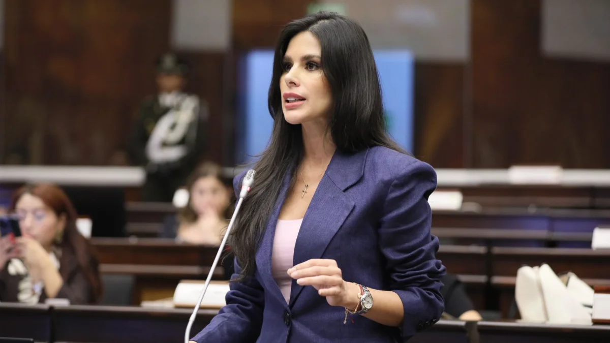 ¿Diana Jácome será procesada? Asamblea votará para levantar inmunidad de asambleísta de ADN