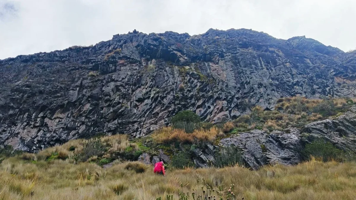 El incidente ocurrió en el sector conocido como la Cueva del Oso, en el Rucu Pichincha.