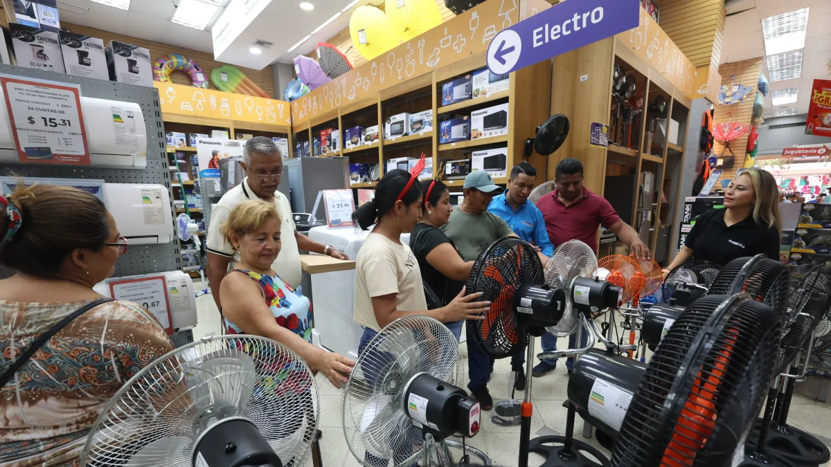 Por la ola de calor que hay las personas compran más equipos para aclimitar áreas y con ello se consume más energía eléctrica.