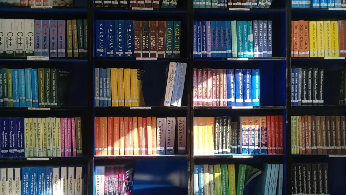 La lectura puede ser un acto de rebeldía frente al algoritmo digital. Los libros nos devuelven el control.