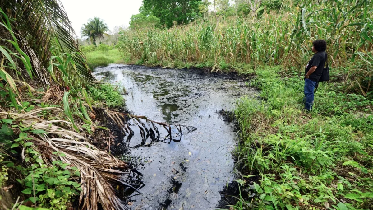 Oscar López observa un derrame de hidrocarburos junto a un campo de maíz, en la comunidad de Rafael Rosas, en Papantla, estado de Veracruz, el 11 de abril de 2026.