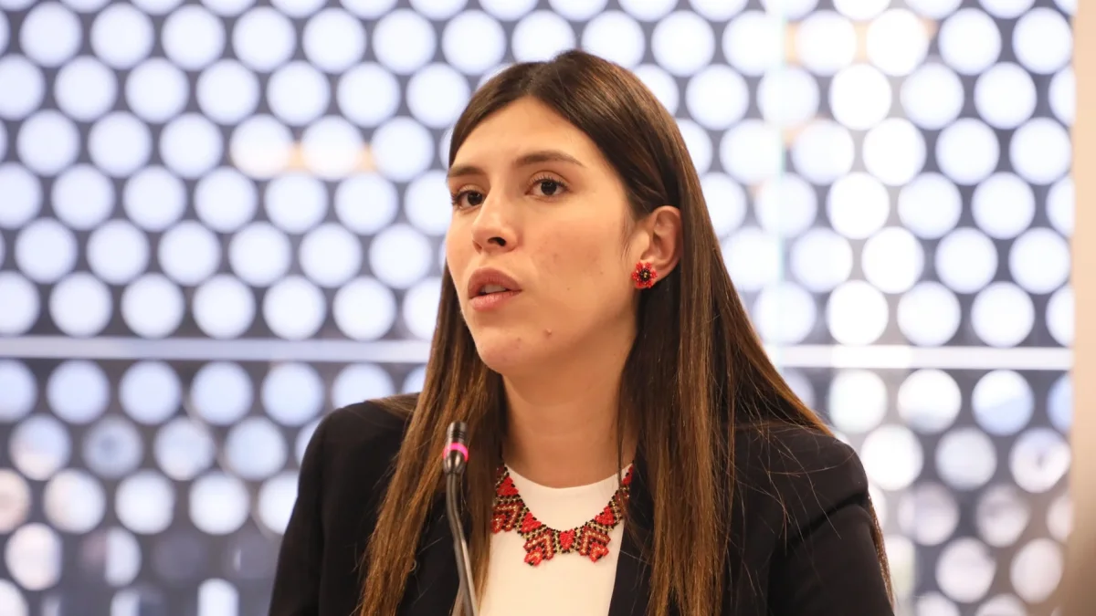 Valentina Centeno es la jefa del bloque de ADN, que señaló que el proyecto que busca sancionar la opinión es del correísmo. Pero los noboístas también tienen un planteamiento y ocultan al proponente.