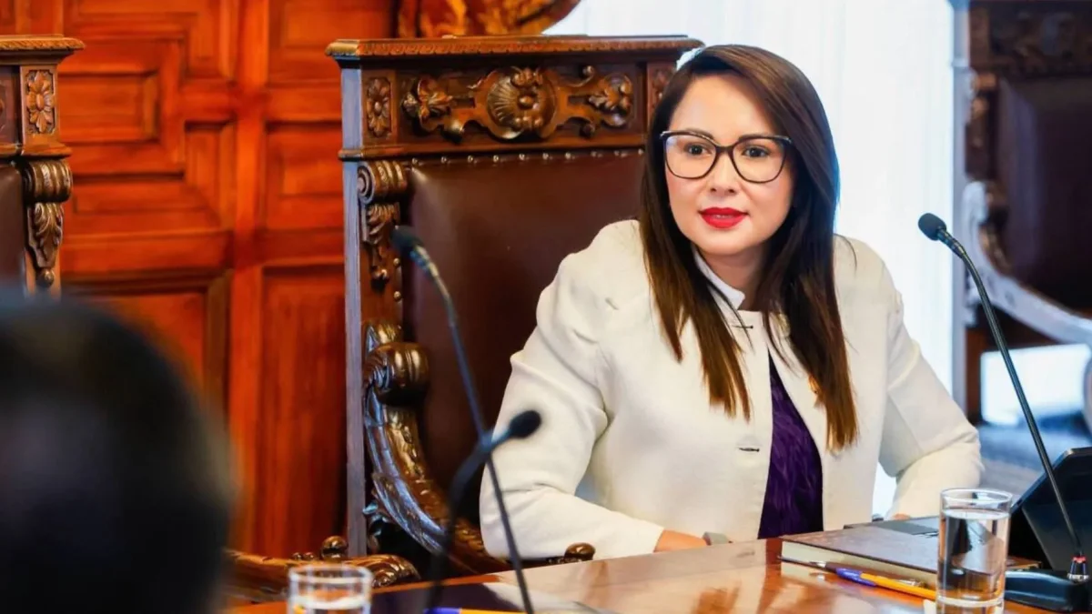 Morillo admite que la crisis del sistema de salud persiste mientras se evalúa ministro.