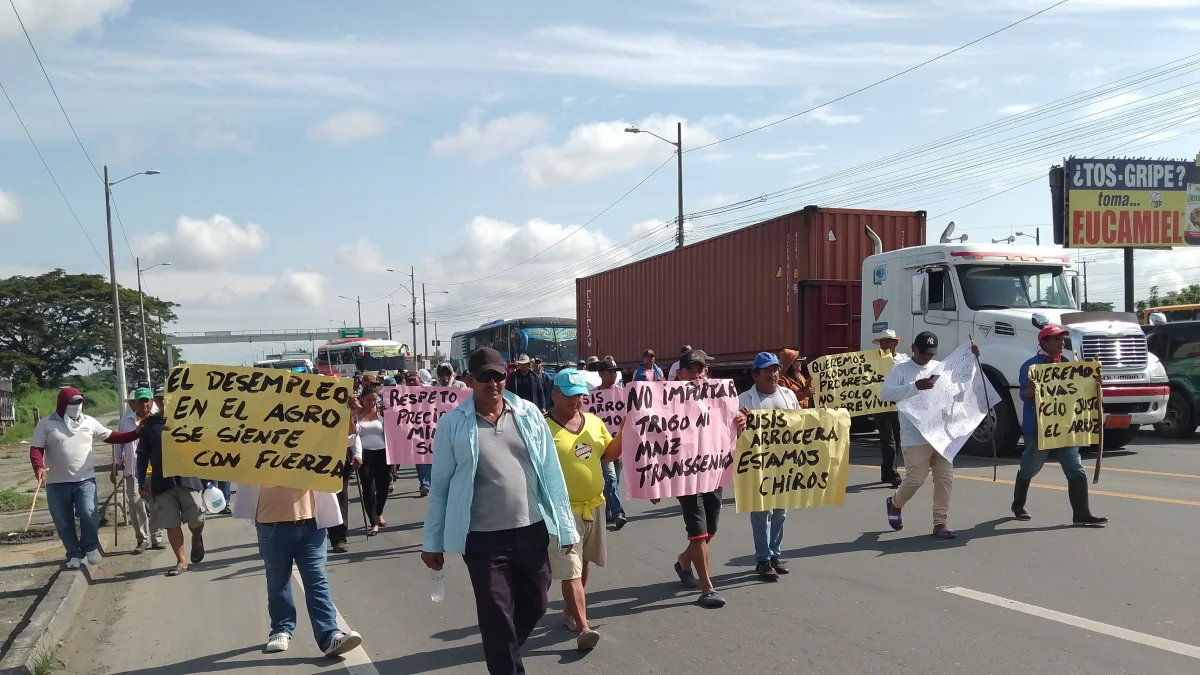 La marcha que hicieron los arroceros en marzo de 2026 en Daule.