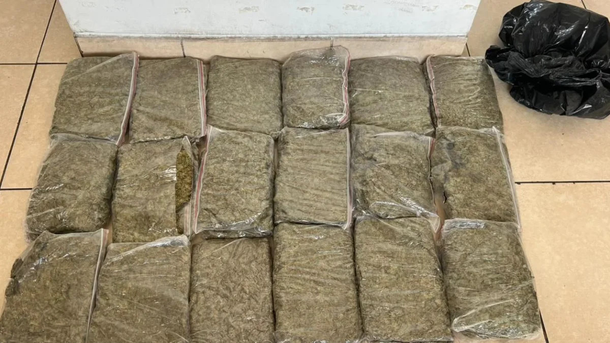 Se decomisó 18 kilos con 839 gramos de droga, lo que equivale a 37.679 dosis.