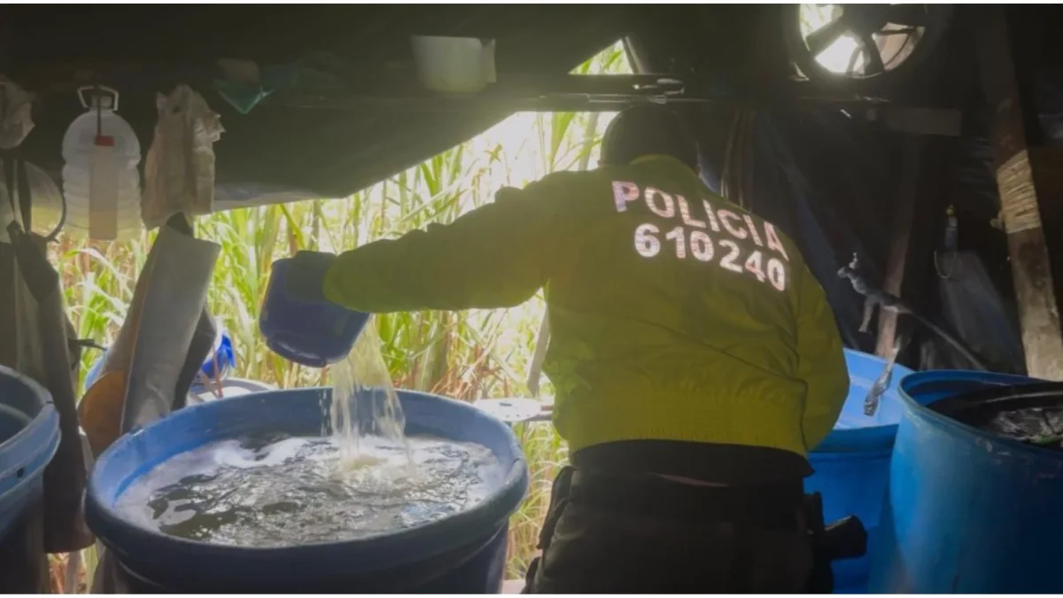 Operación binacional incautó 900 kilos de cocaína en Cauca, ligados a disidencias de las FARC