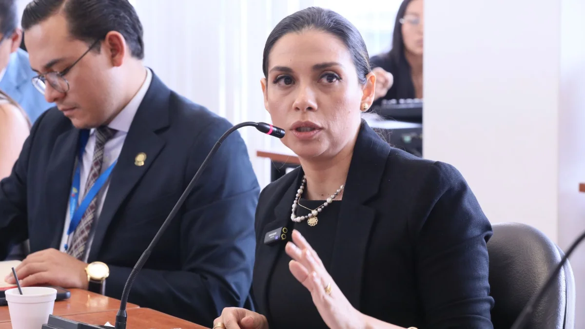 La exconjueza nacional Mercedes Caicedo es la nueva presidenta del Consejo de la Judicatura.