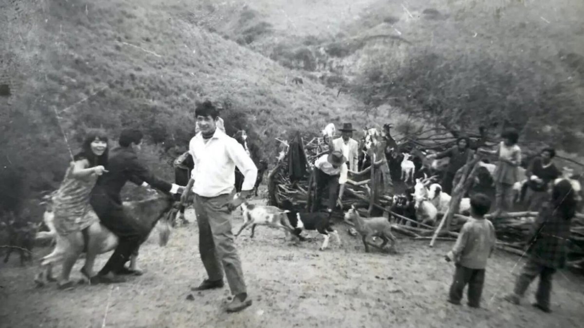 La película utiliza como hilo conductor el proceso del juicio por la muerte de Javier Chocobar, un comunero indígena Chuschagasta asesinado en 2009.