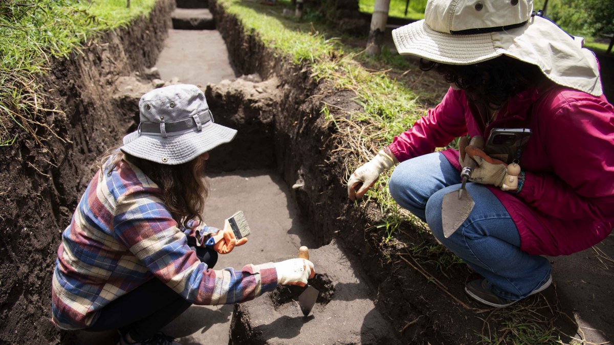 Entre los hallazgos aparecen fogones, pisos y hoyos de poste que delinean espacios habitacionales y productivos.